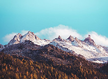 欧冠比赛数据-江苏女排逆转“复仇”上海 张常宁龚翔宇联手得49分